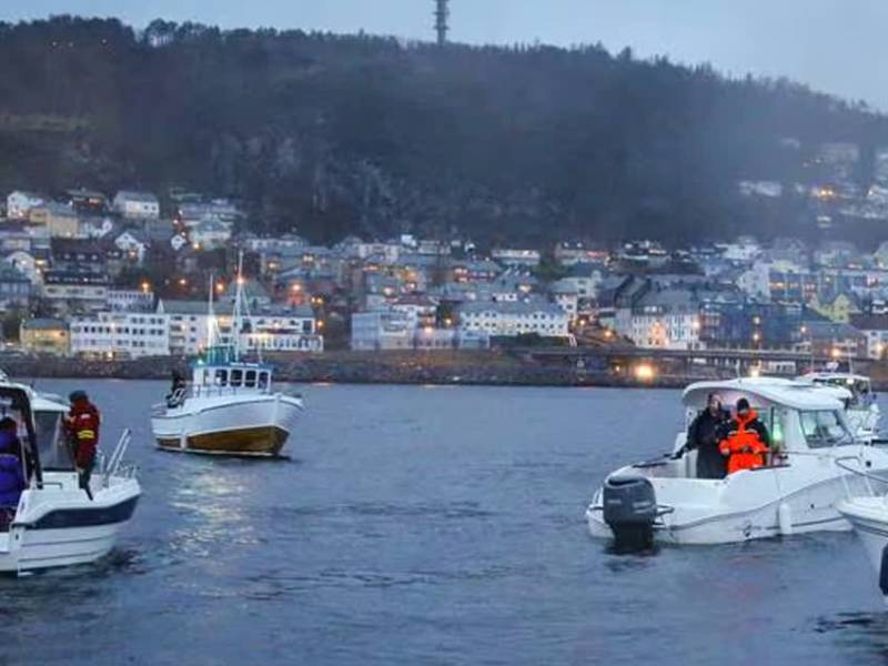 borgundfjorden fiske mobil